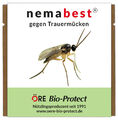 nemabest® SF Nematoden zur Bekämpfung von Trauermücken