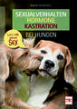 Sexualverhalten - Hormone - Kastration bei Hunden: Let´s talk about sex