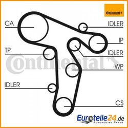Wasserpumpe + Zahnriemensatz CONTINENTAL CTAM CT1134WP1