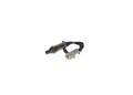 BOSCH Lambdasonde Sensor Abgassteuerung 0 258 005 717 für FORD JAGUAR MAZDA 3 2