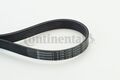 CONTINENTAL CTAM 6PK1157 EXTRA V-Ribbed Belt for BMW