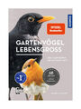 Gartenvögel lebensgroß von Daniela Strauss