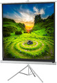 celexon mobile Business und Heimkino Stativ-Leinwand Eco Weiß 158x158cm 1:1