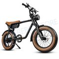 20 Zoll E-Fahrrad Elektrofahrrad 750W 15AH E-Mountainbike 7-Gänge Moped E Bike