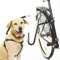 Führhalter Abstandhalter Expander Fahrradhalter Fahrradleine Hund, E - Bike Dog