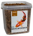 Petifool KOI Mehlwürmer- Einzelfuttermittel für Teichfische und Reptilien 800g