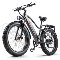 EBike Moped Elektrofahrrad 48V20AH Damen/Herren E-Mountainbike 25km/h City EBike