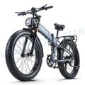 Emountainbike 1000W Elektrofahrrad 26 Zoll Fatbike Ebike 48V20AH E Citybike