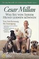 Was Sie von Ihrem Hund lernen können: Von Anerkennung bi... | Buch | Zustand gut