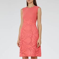 Reiss Rosebud rosa Rebbie Blumenmuster Spitze A-Linie Passform Flare Cocktailkleid UK 6 34