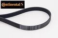 Continental CTAM 5PK1207 Keilrippenriemen Keilriemen 