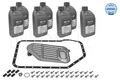 Teilesatz Automatikgetriebe-Ölwechsel Meyle für Audi Skoda 1995-09 1001350001