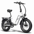 500W E-MTB Elektrofahrrad ebike Fat Tire E-Fahrrad Citybike 48V 20.8Ah 2Batterie