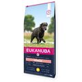 Eukanuba Senior Huhn Large 15 kg Hundefutter Trockenfutter