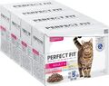 Perfect Fit Adult 1+ Katzennassfutter Auswahl mit Lachs, Hochseefisch, Rind und