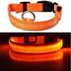 Hundehalsband Leuchthalsband Hund LED USB Aufladbar Akku Halsband Gr. S M L XL