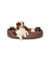 B-Ware: lionto 4-in-1 Hundebett Hundekissen Hundekörbchen schwarz/braun L