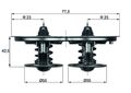 MAHLE TX 32/1D Thermostat, Kühlmittel