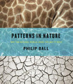 Philip Ball Patterns in Nature (Gebundene Ausgabe)