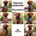 Welpengeschirr Hundegeschirr Softgeschirr Brustgeschirr Fellimitat weich & soft