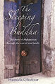 The Sleeping Buddha: The Story Of Afghanistan The Eyes Of Eins