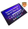 Samsung Galaxy Tab S9 Ultra SM-X916B 256GB, Wi-Fi + 5G **Top Zustand**