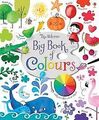 Big Book of Colours (Big Books) von Brooks, Felicity | Buch | Zustand sehr gut