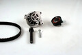 Wellenset + Wasserpumpe Nockenwelle PK05747 HEPU für VW LT 28-35 II Bus