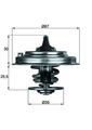 MAHLE Thermostat Kühlmittel BEHR TX 30 80D für VW PORSCHE AUDI GOLF A3 9PA TT 80