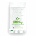 CO2 Bag Kohlendioxid-Tüte L oder XL Booster Pflanzen Indoor Dünger Blüte Growbox