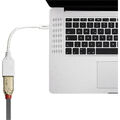 LINDY 41021 DisplayPort / Mini-DisplayPort Adapterkabel [1x DisplayPort Buchs...