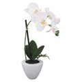 Künstliche Orchidee im Keramiktopf 36cm. Kunstblume, Phalaenopsis weiß WEISS