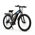 DUOTTS 29Zoll E-Bike 750W E-Mountainbike Elektrofahrrad Cityräder 48V15Ah Herren