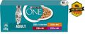 PURINA ONE Adult Nassfutter für Katzen, Sortenpackung, 40 Portionen (40 x 85 g)