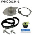 Wasserpumpe + Zahnriemensatz SKF VKMC 06134-1 für RENAULT CLIO SCÉNIC K9K KANGOO