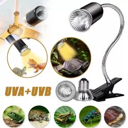 Schildkröten Wärmelampe Reptilien Terrarium Lampe Heizlampe UV Wärmespotlampe