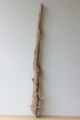 Treibholz Schwemmholz Driftwood 1 XXL Skulptur Terrarium Dekoration  112 cm