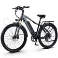 26 Zoll Elektrofahrrad 48V 17AH Moped eBike 25km/h E Mountainbike Damen/Herren