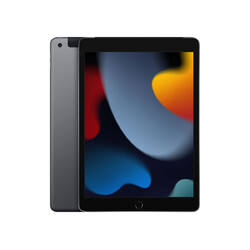 Apple iPad 9 (2021) 256GB Space Gray LTE 10,2 Zoll Tablet - SEHR GUT 