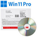 Microsoft Windows 11 Pro Betriebssystem 64 bit OEM Vollversion (DVD)