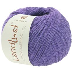 Wolle Kreativ! Lana Grossa - Landlust Alpaka Merino 100 - Fb. 316 violett 50 g