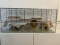 Terrarium aus Glas für Hamster mit Zubehör