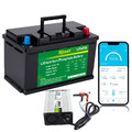 12V 100Ah Lithium Batterie LiFePO4 Akku Smart BMS 14,6V 15A ladegerät für Solar