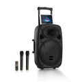 *B-WARE* Mobile DJ PA Anlage Karaoke Box USB Bluetooth Lautsprecher Trolley