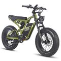 20*5.0 Zoll Reifen Elektrofahrrad 750W E Mountainbike Fatbike Pedelec eBike MTB