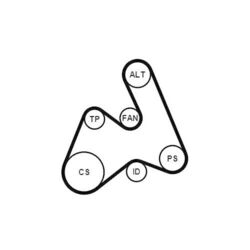 1x Keilrippenriemensatz CONTINENTAL CTAM 5PK1592K1 passend für