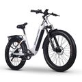 1000W Elektrofahrrad Damen CityBike 26 Zoll Mountainbike Samsung-Akku EBike 80NM