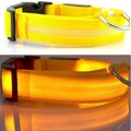 Hundehalsband Leuchthalsband Hund LED USB Aufladbar Akku Halsband Gr. S M L XL '