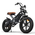 20 Zoll Elektrofahrrad 750W 48V 14Ah Fat Tire Mountainbike MTB Offroad E-bike