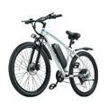 27.5 Zoll Elektrofahrrad 800W BURCHDA eBIKE 48V 15AH E-Mountainbike 21 Gänge MTB